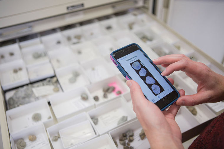 PaleoNICHES: Digitization of fossil collections