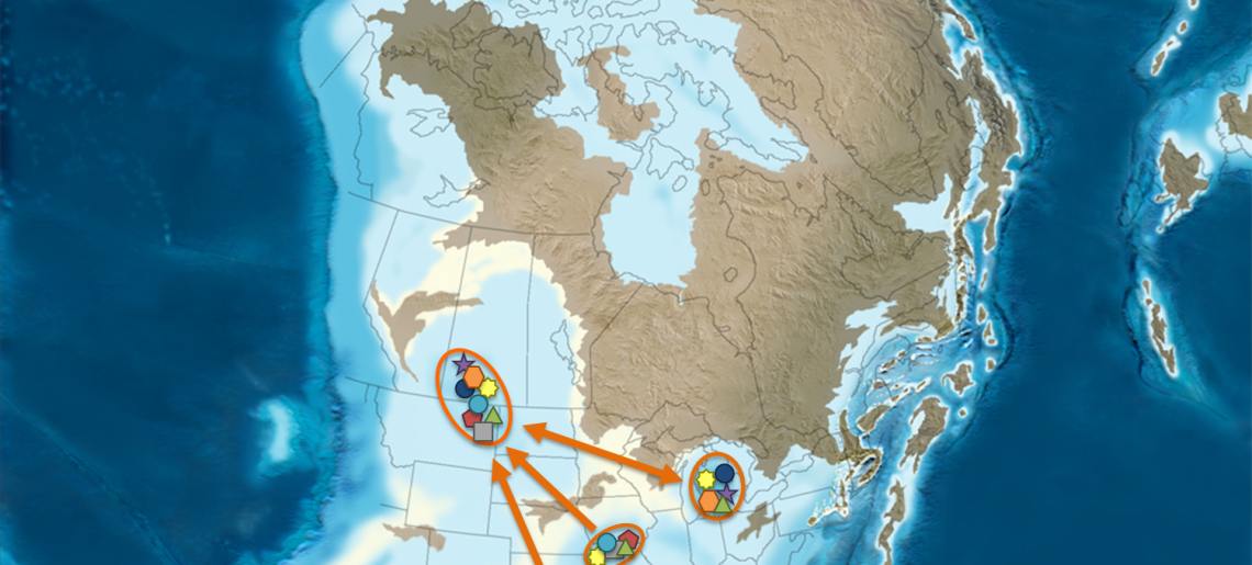 Long term impacts of invasive species