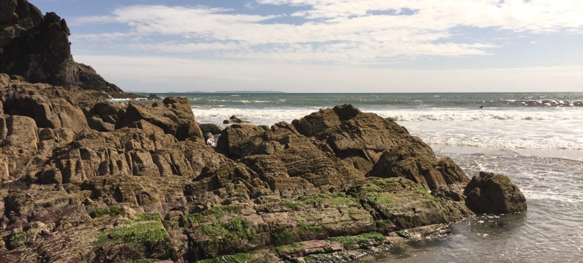 Paleozoic geology of the Welsh Basin: IGCP 591 Conference Field Trip