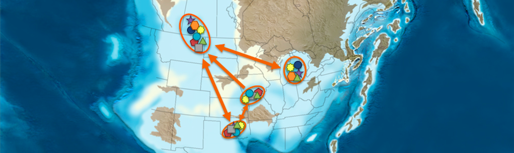 Review paper on BIMEs: Biotic Immigration Events