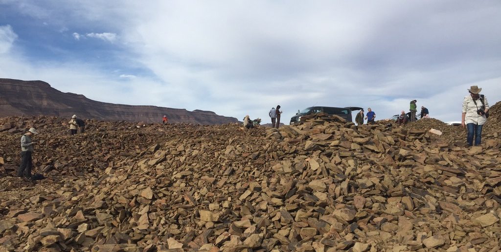 IGCP 653 Field excursion and workshop on the Fezouata Formation